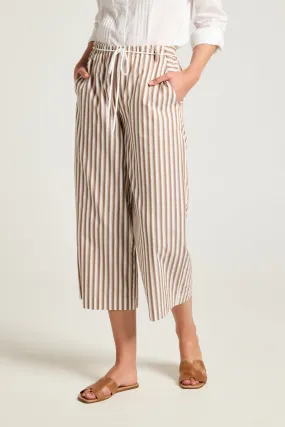 Ari Pant