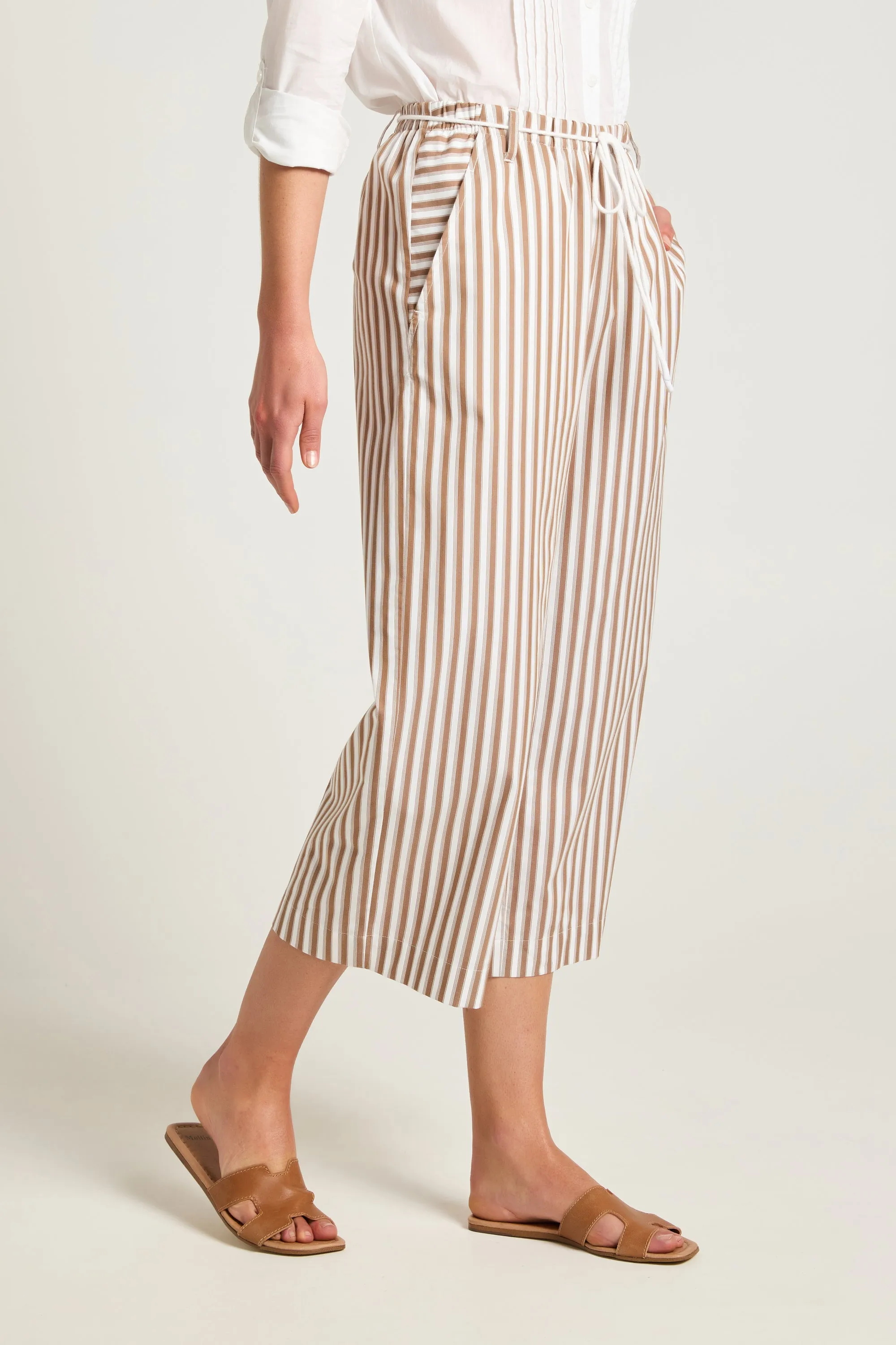 Ari Pant