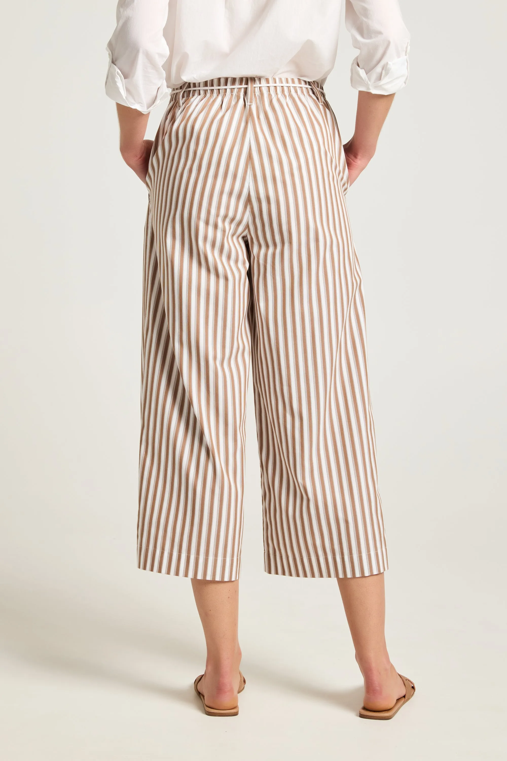 Ari Pant