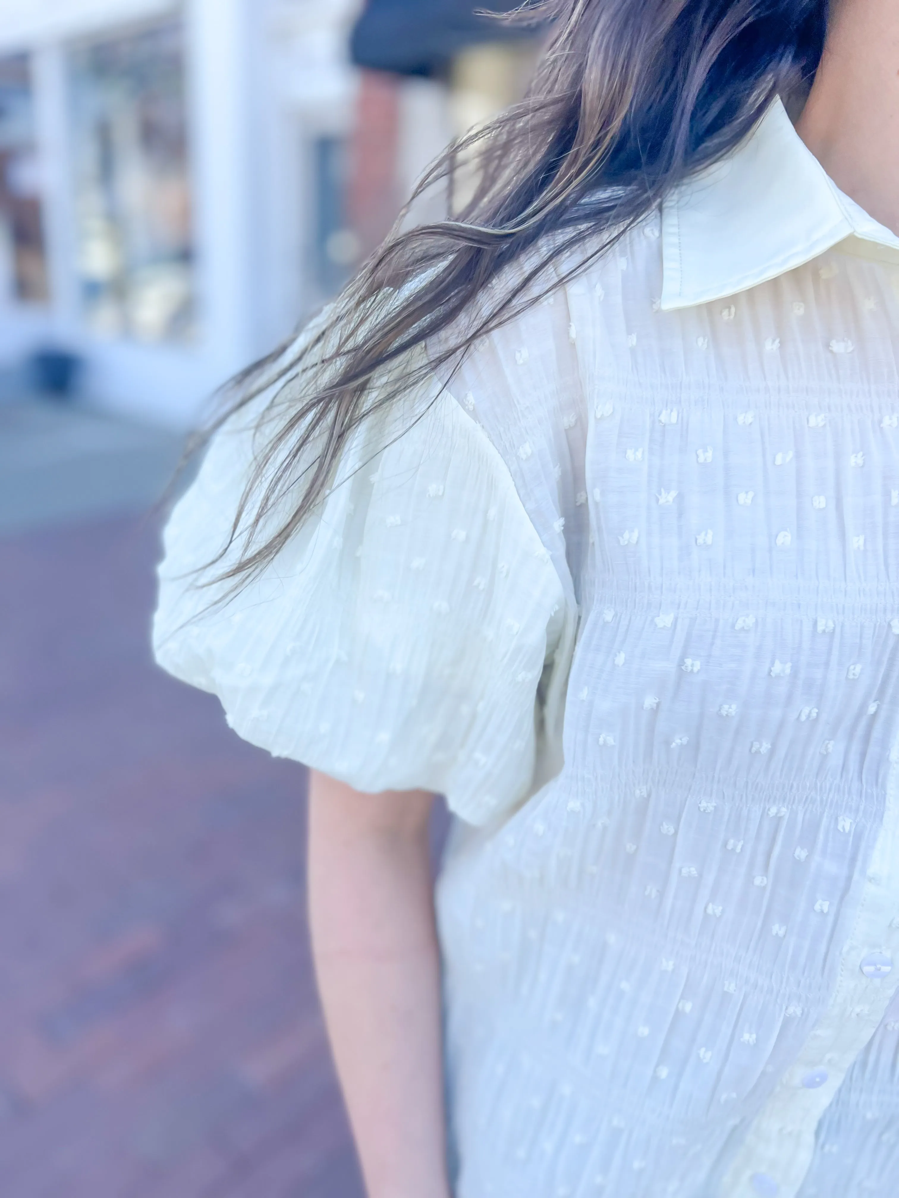 Beige Swiss Dot Puff Sleeve Blouse
