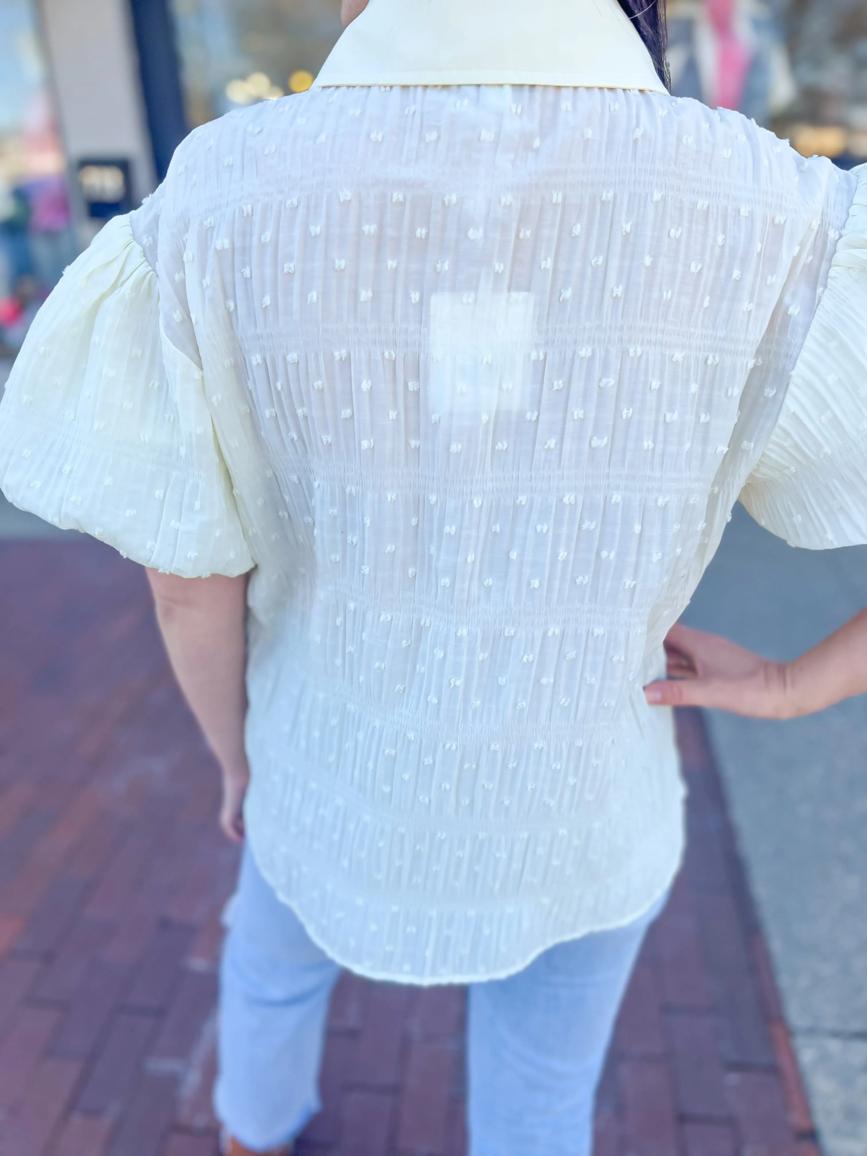 Beige Swiss Dot Puff Sleeve Blouse