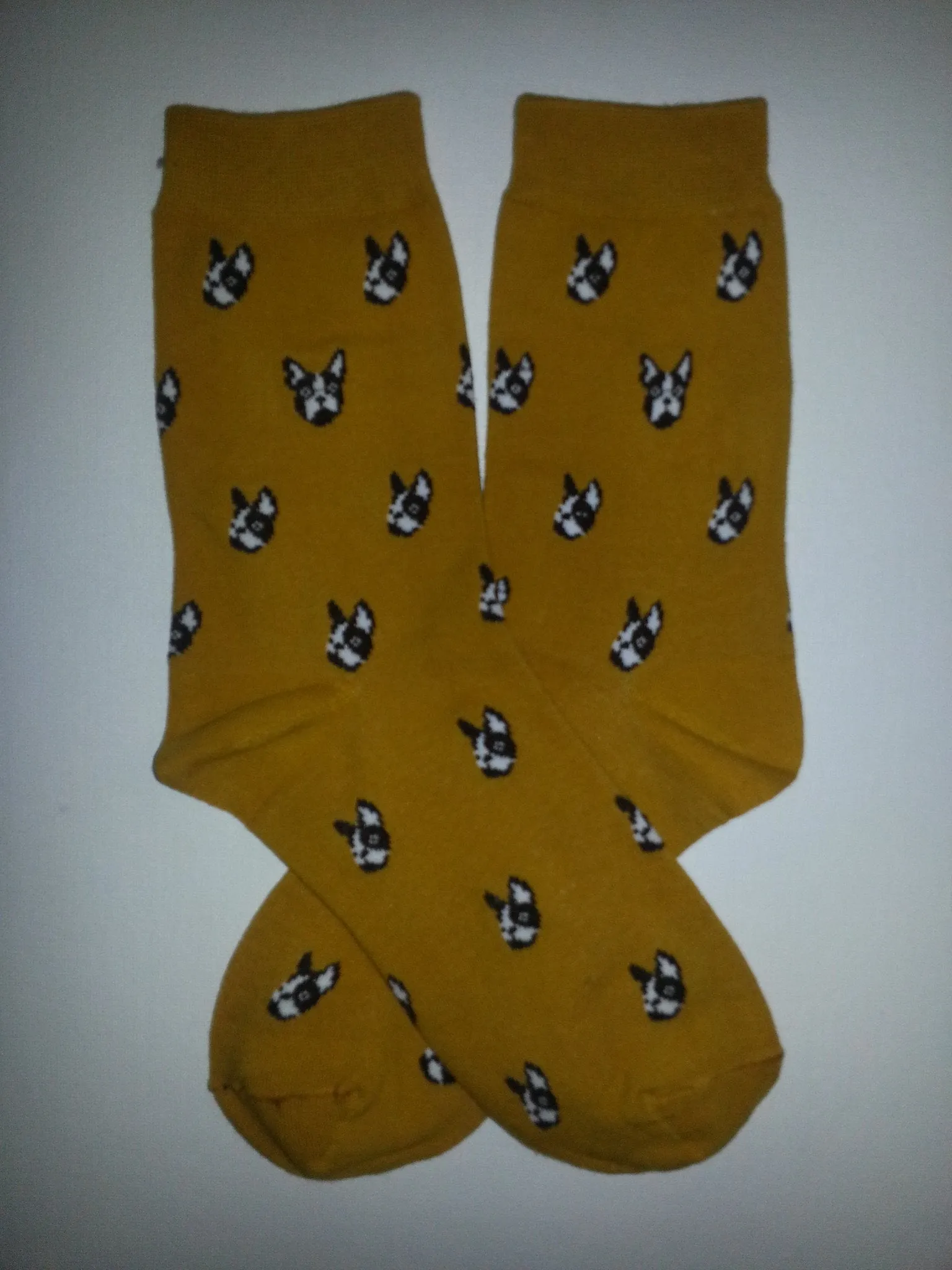 Boston Heads Crew Socks