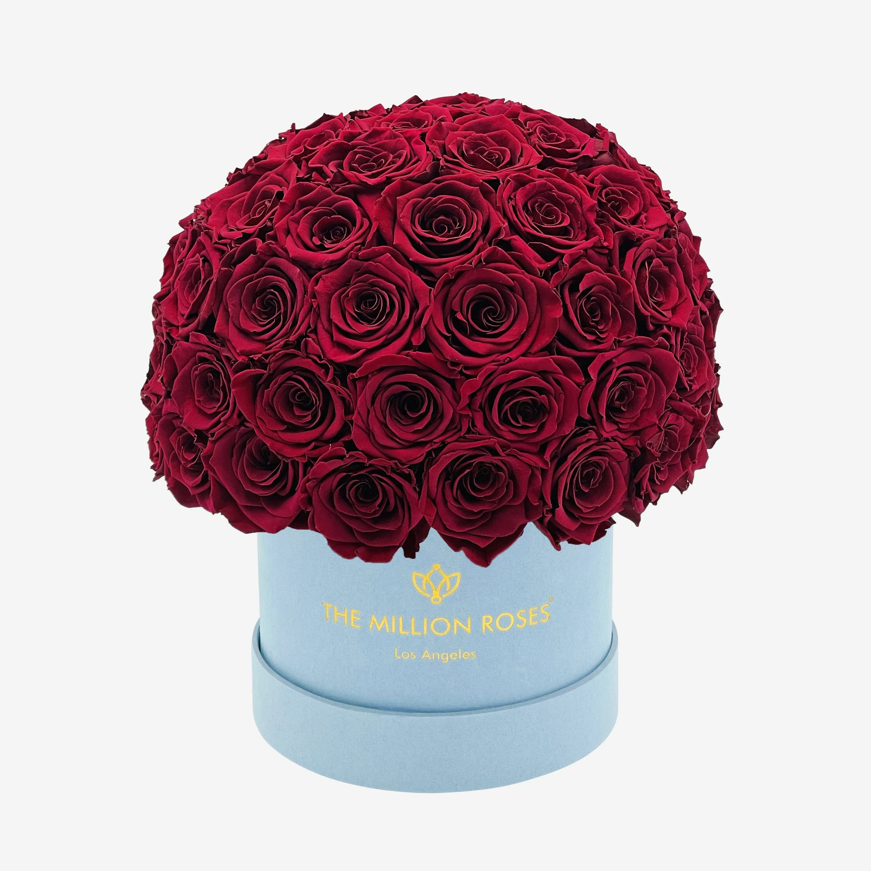 Classic Light Blue Suede Superdome Box | Burgundy Roses