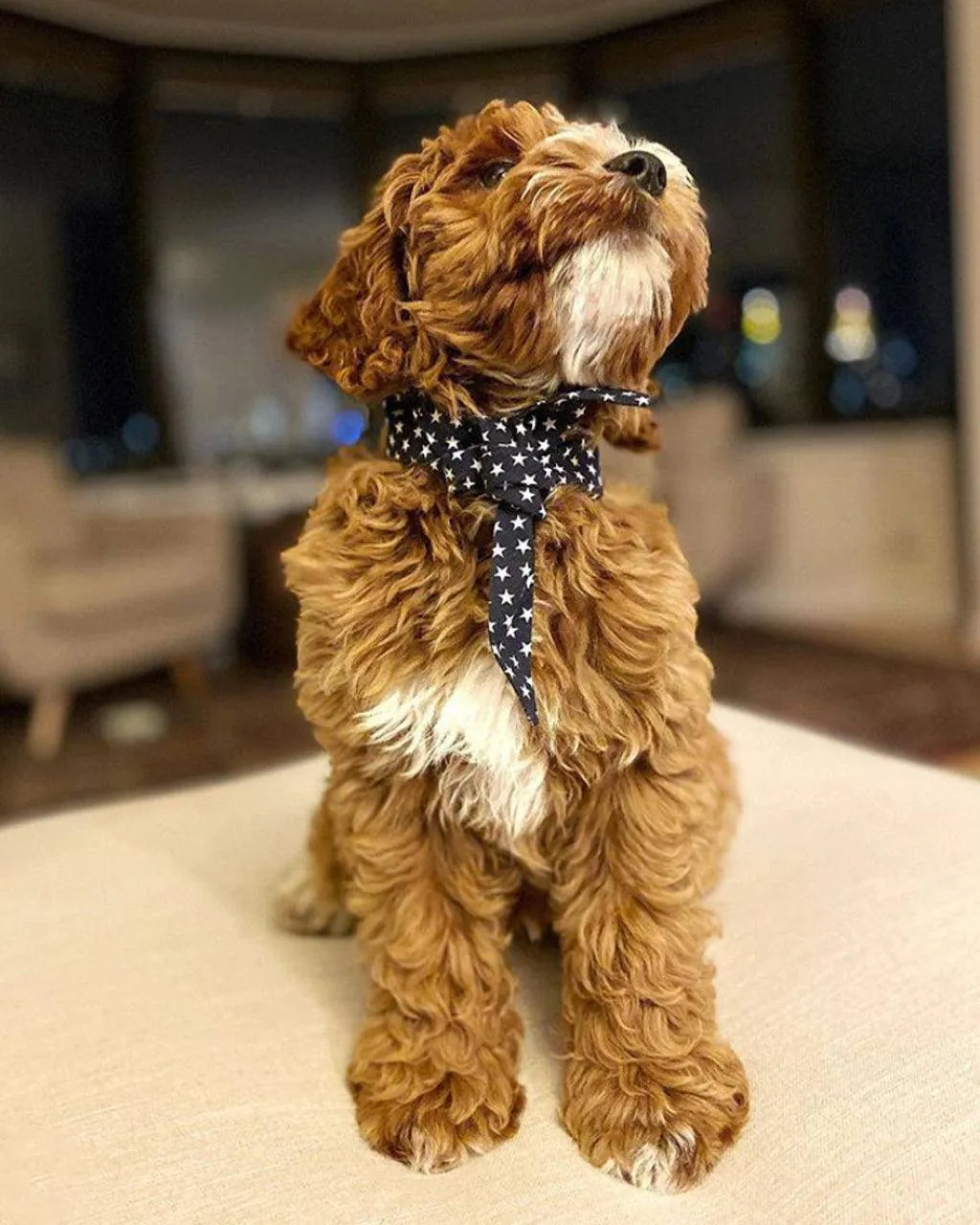 Classic Necktie