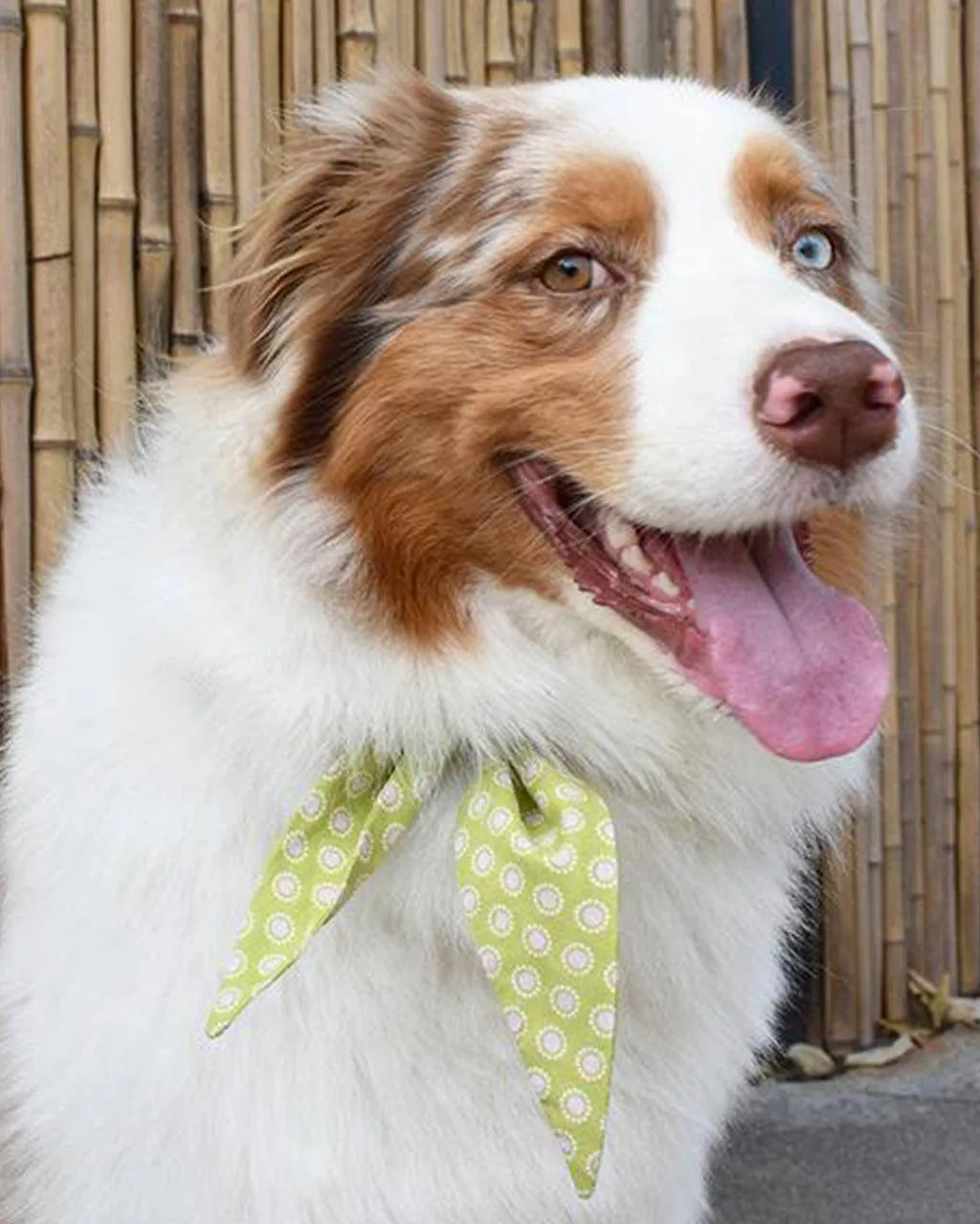 Classic Necktie