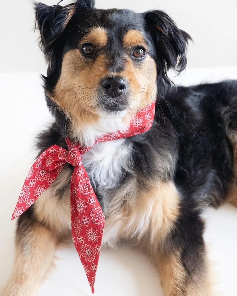 Classic Necktie