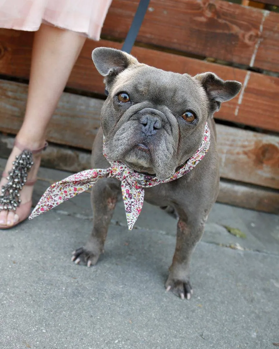 Classic Necktie