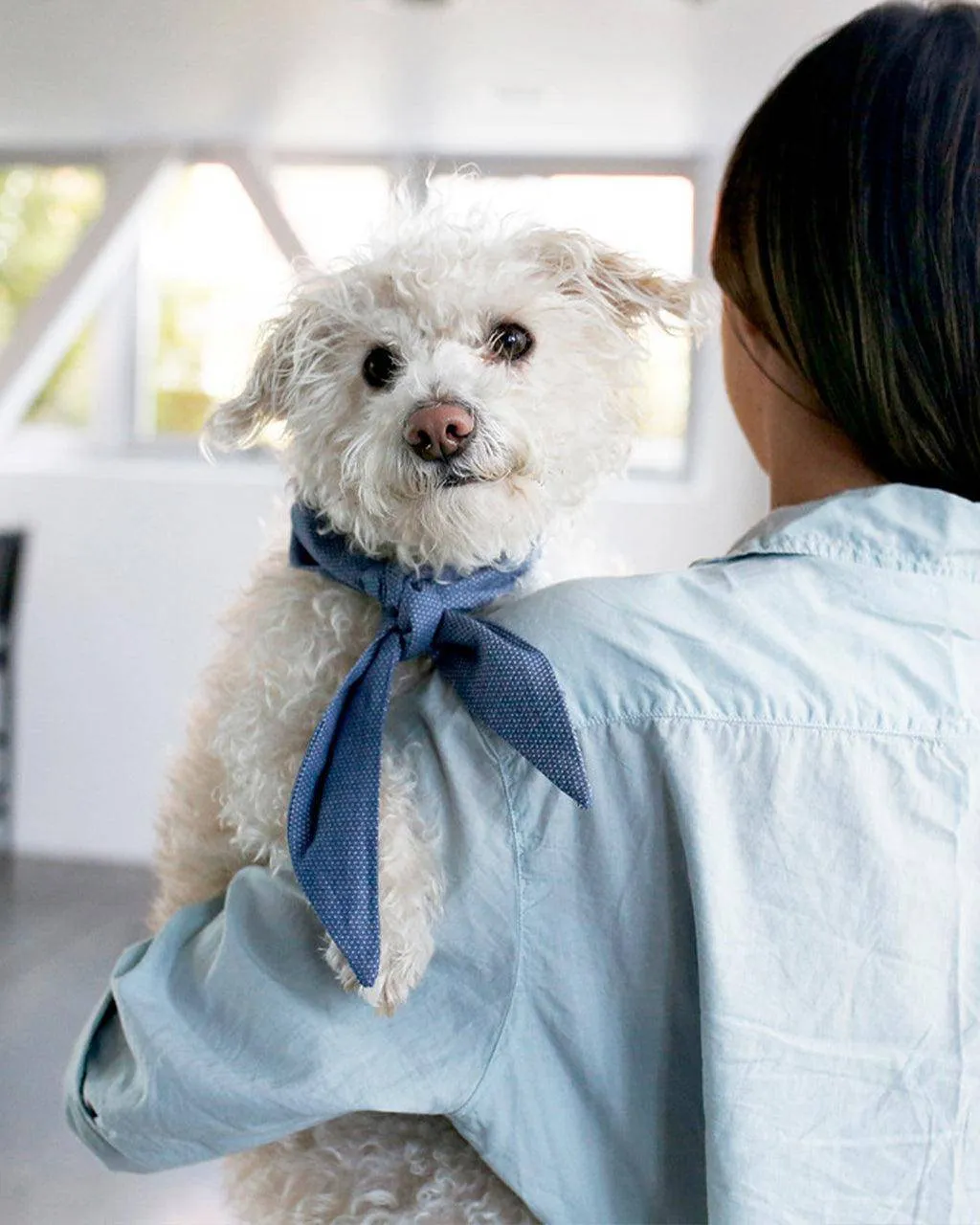 Classic Necktie