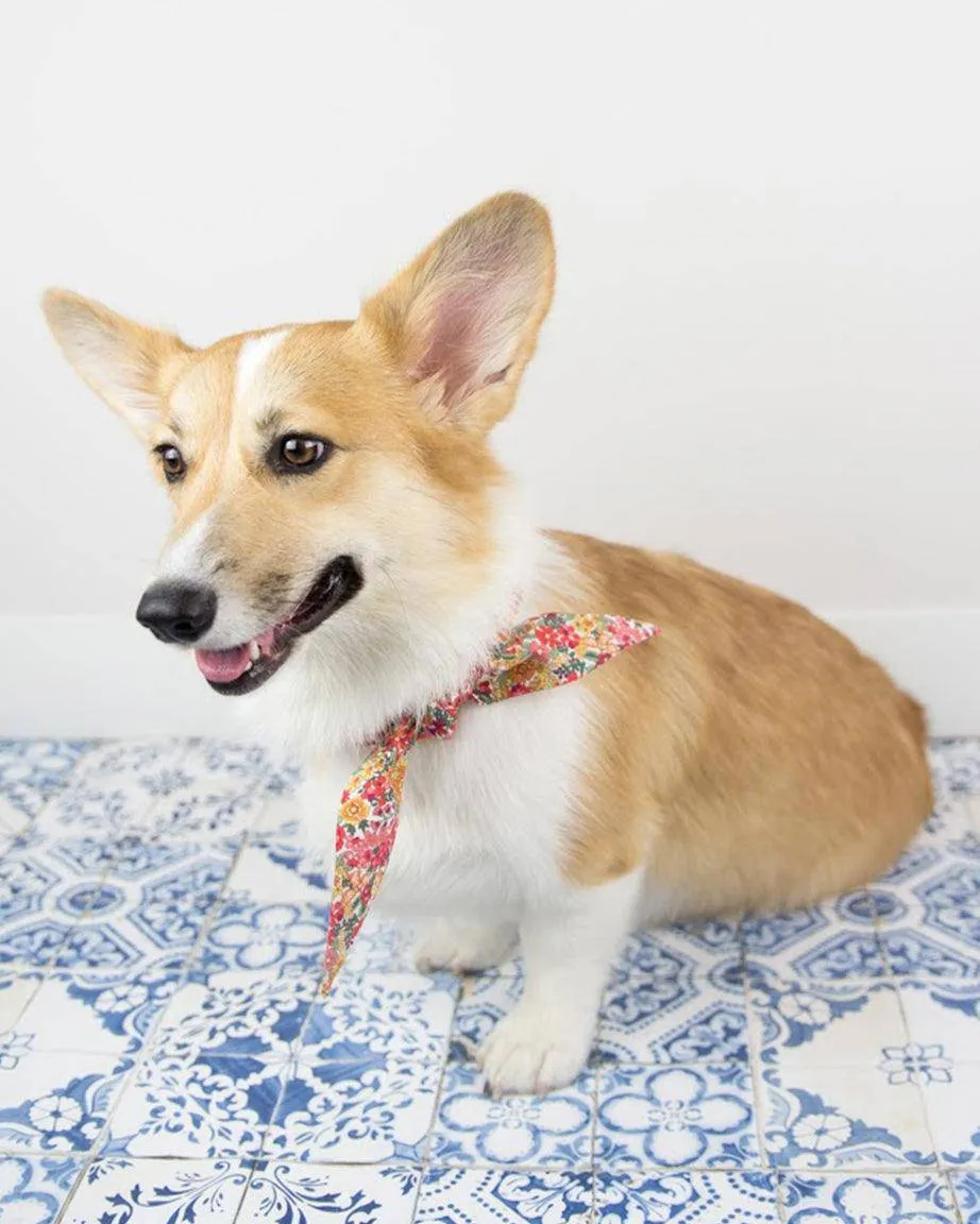 Classic Necktie