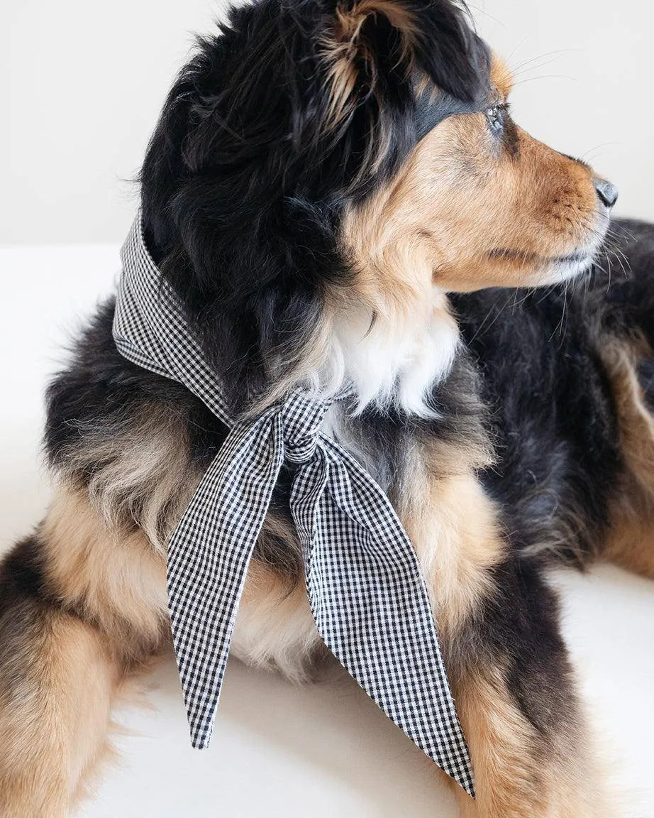 Classic Necktie