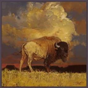 Limited-Edition Nothing But Buffalo & Sky Silk Scarf by Jeff Segler